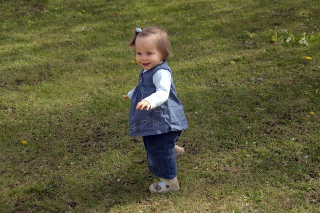 Cliquez pour afficher ou imprimer la photographie en plein format (3,2Mo)